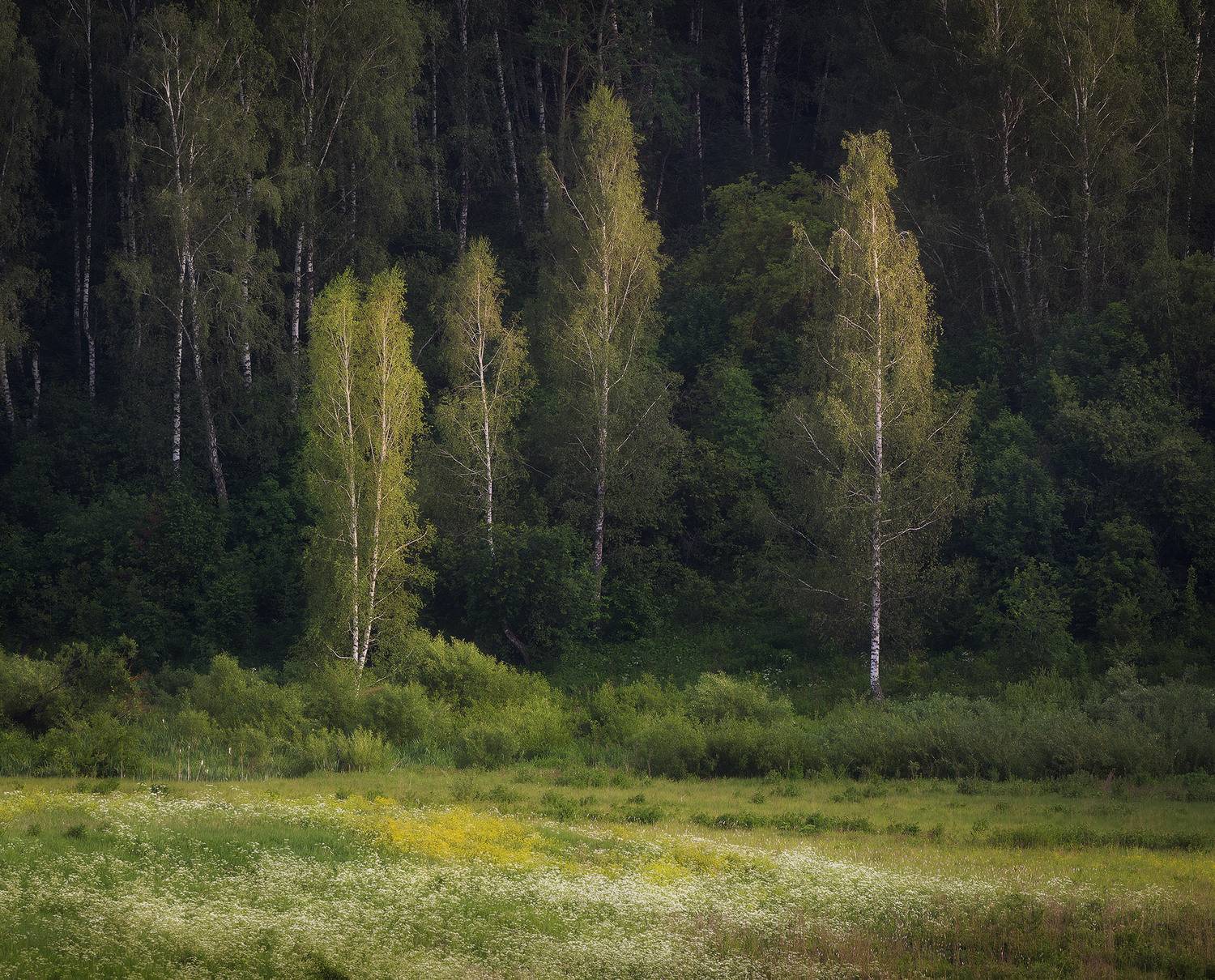 , Павел Жирнов