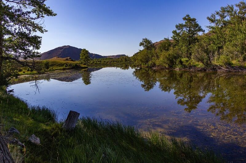 Утро раннее фото превью