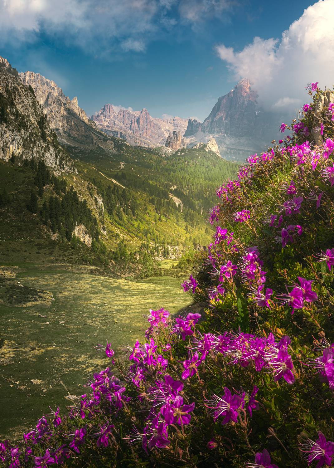 , Быков Сергей