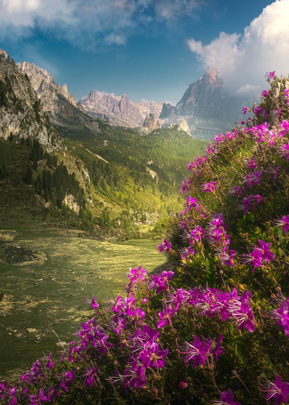 Dolomiti фото превью