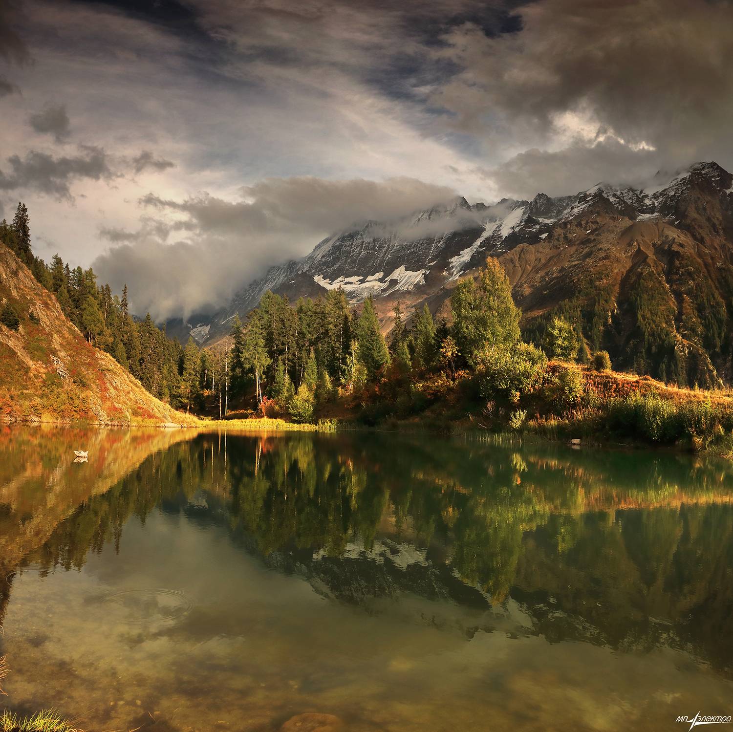 swiss, Матвеев Николай