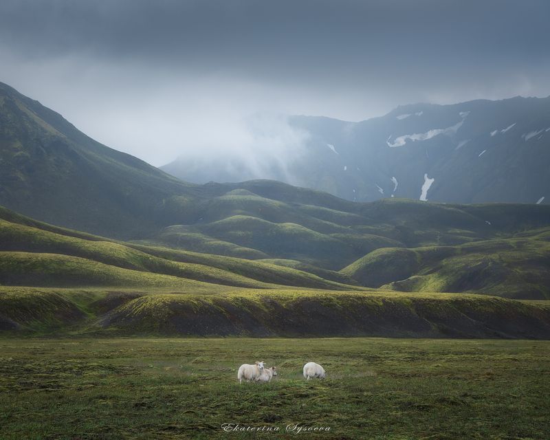Исландские просторы фото превью