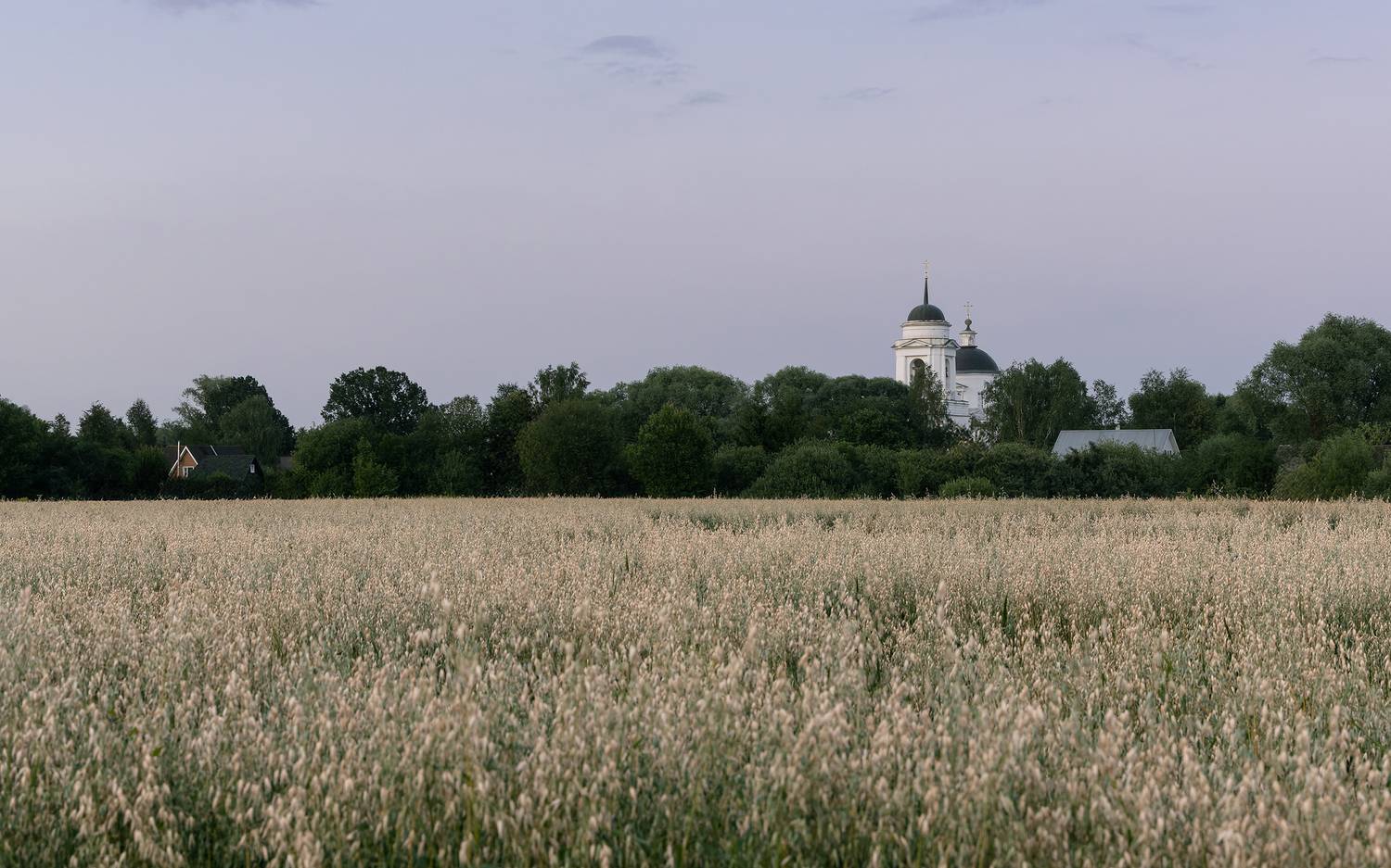 , Загруев Михаил