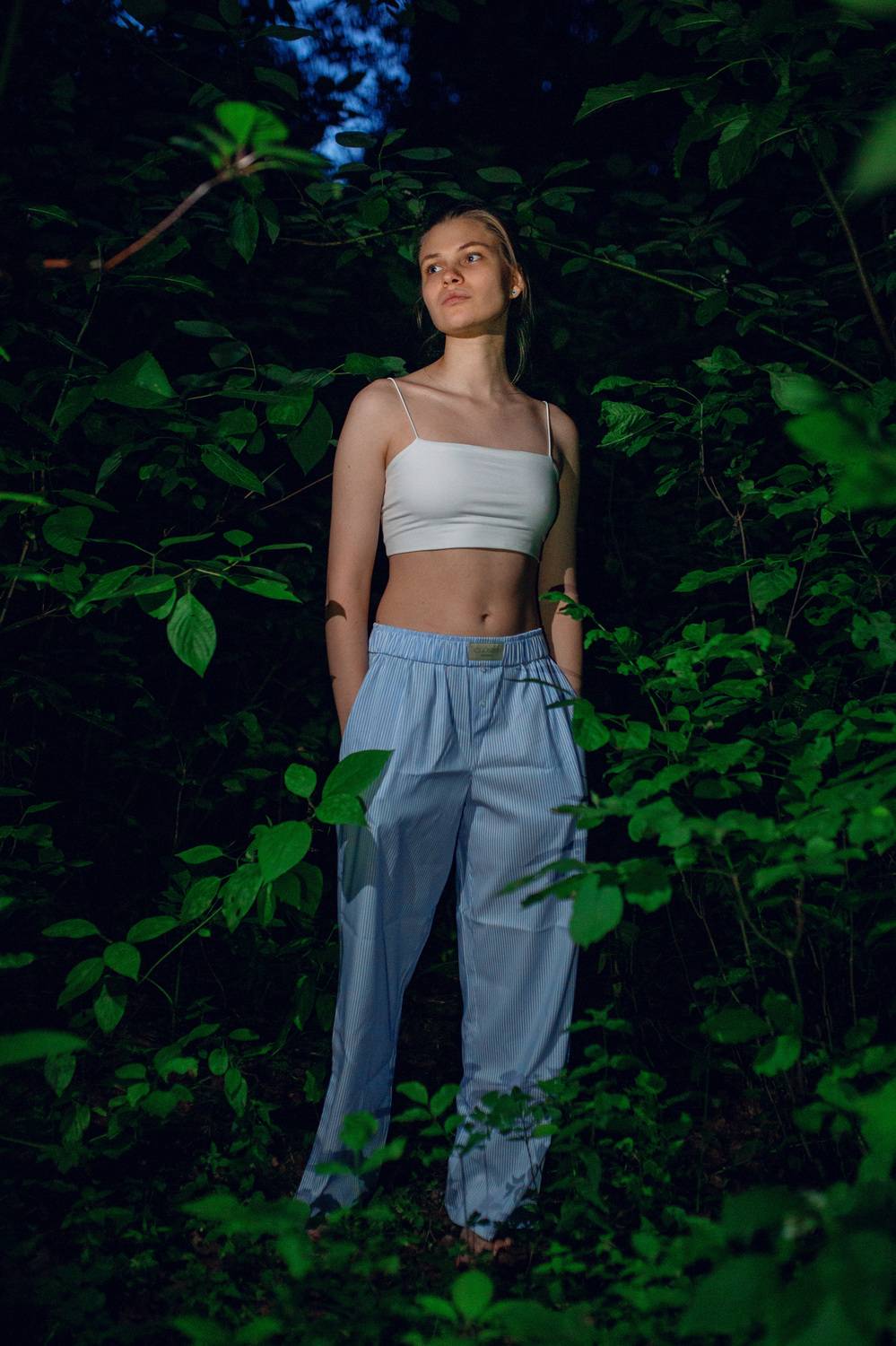 , Плеханов Дмитрий