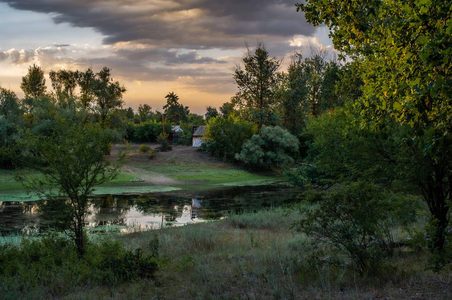 природа,пейзаж,лето, Vasilev Roman