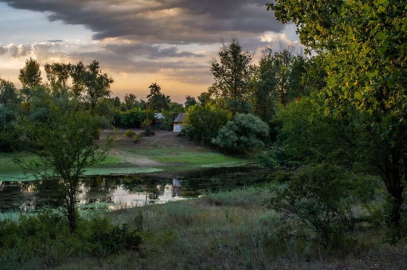 природа,пейзаж,лето На озере фото превью