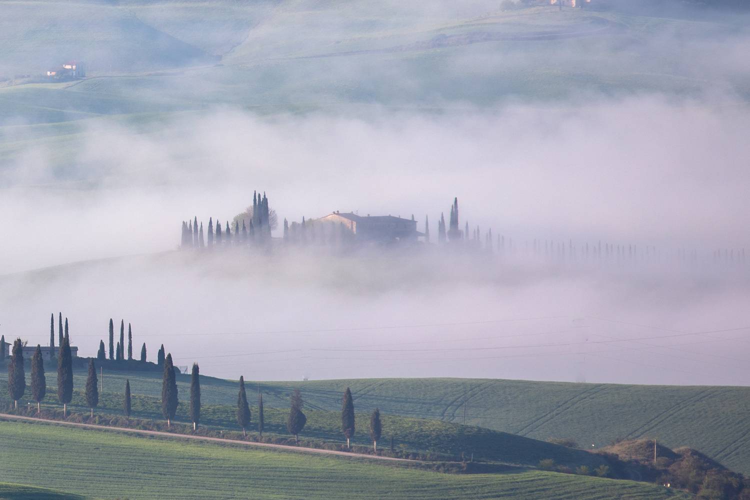 , Евгения Чех