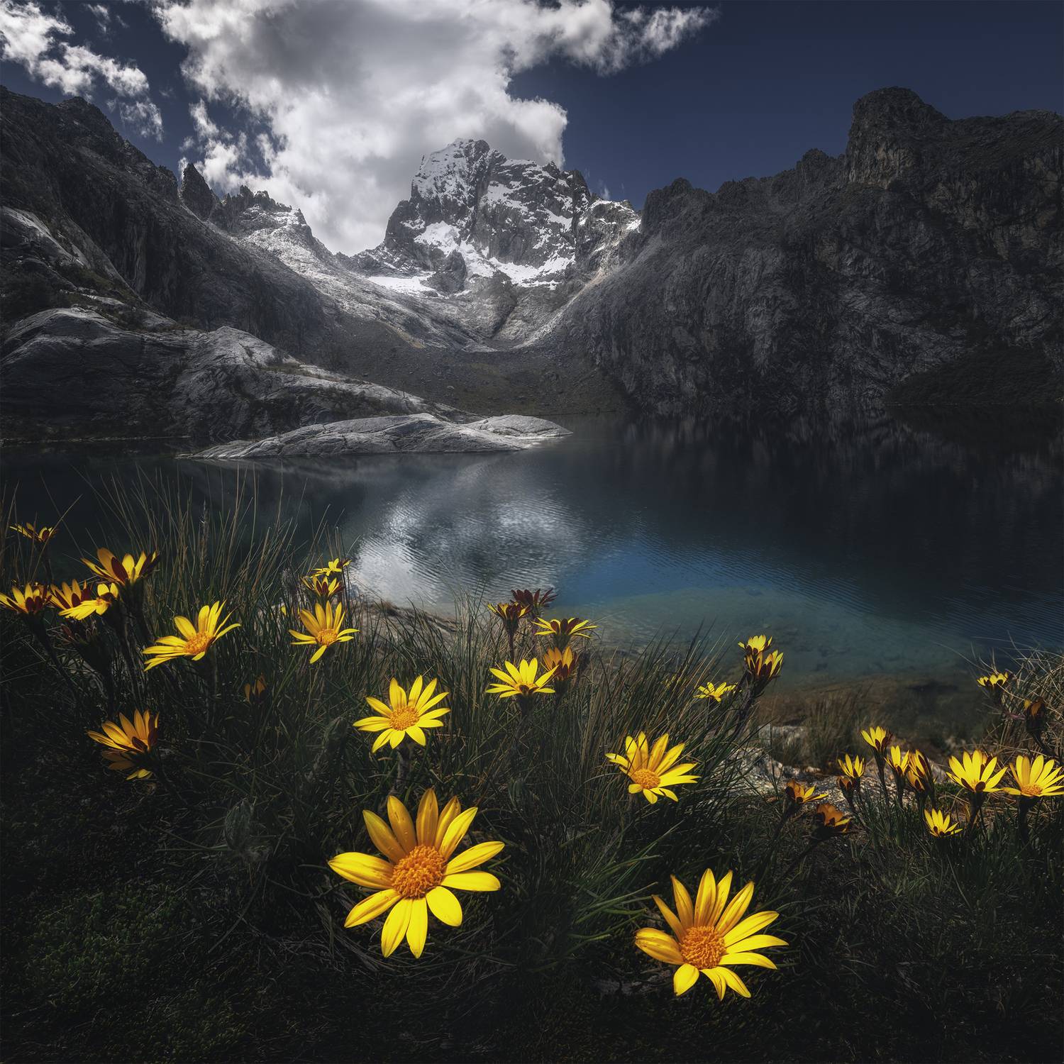 , Политова Анна