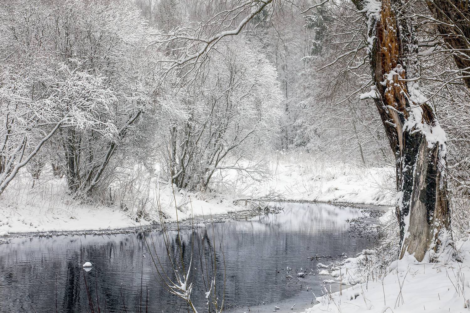 ,  александр михайлов