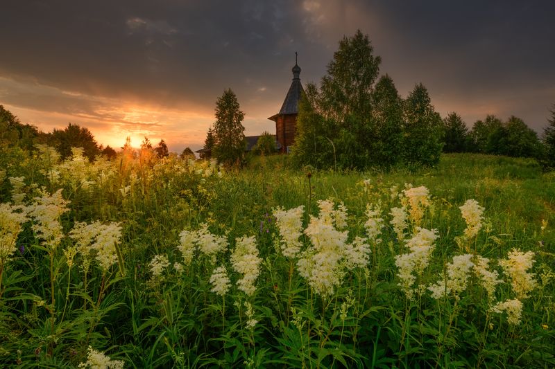 С ароматом таволги... фото превью
