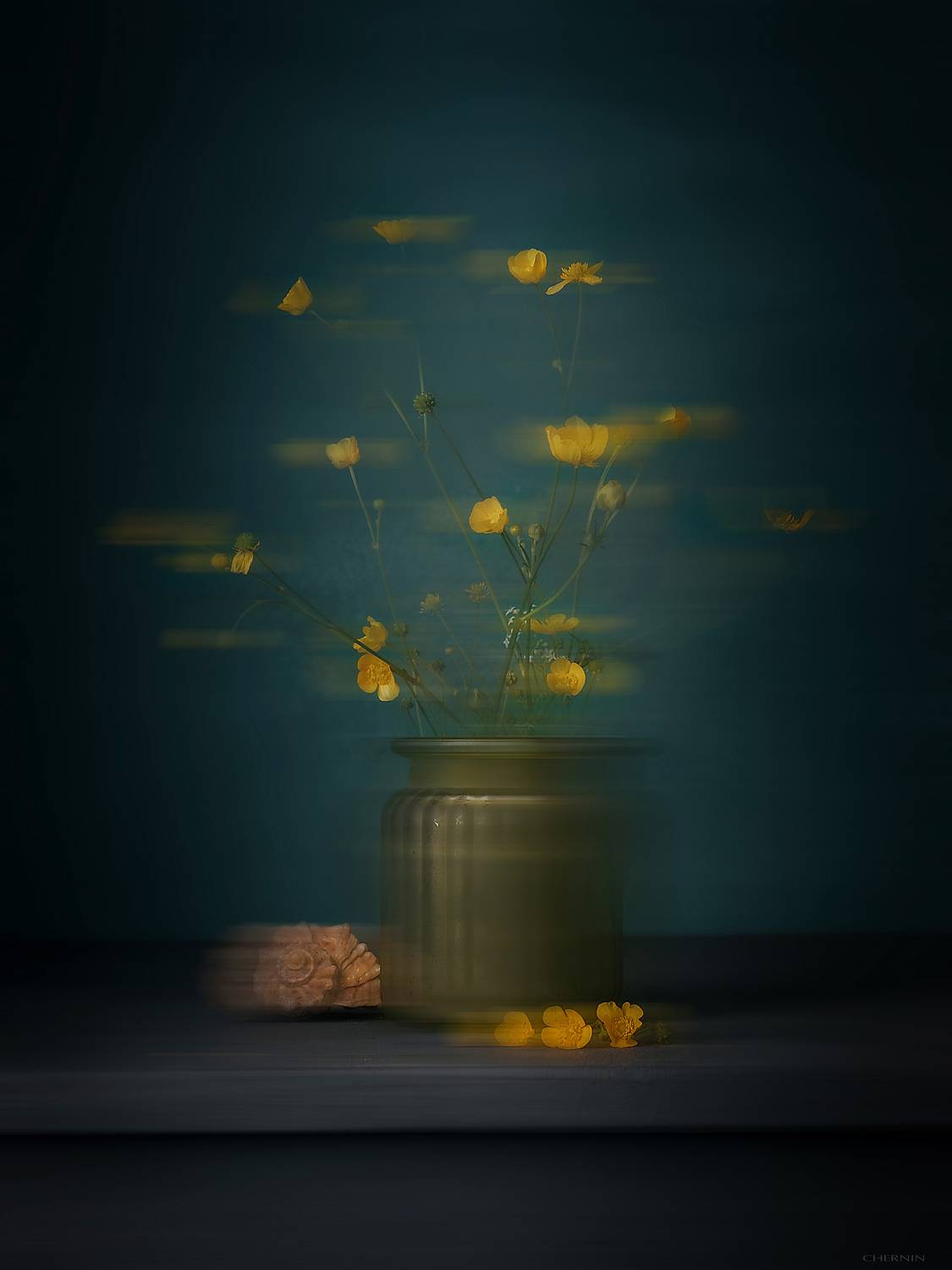 , Чернин Дмитрий