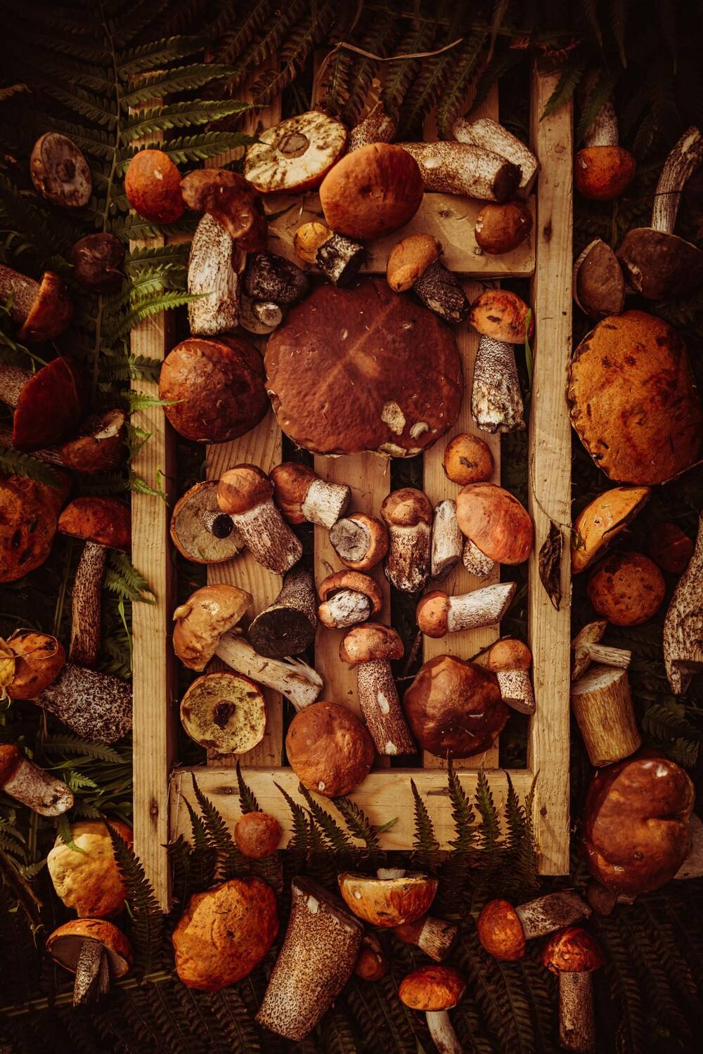 , Сергей Белокуров