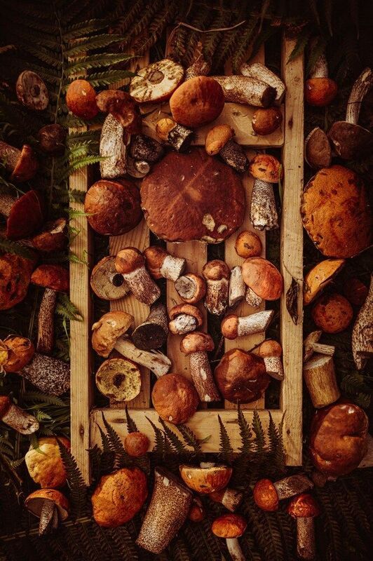 С 1 августа фото превью