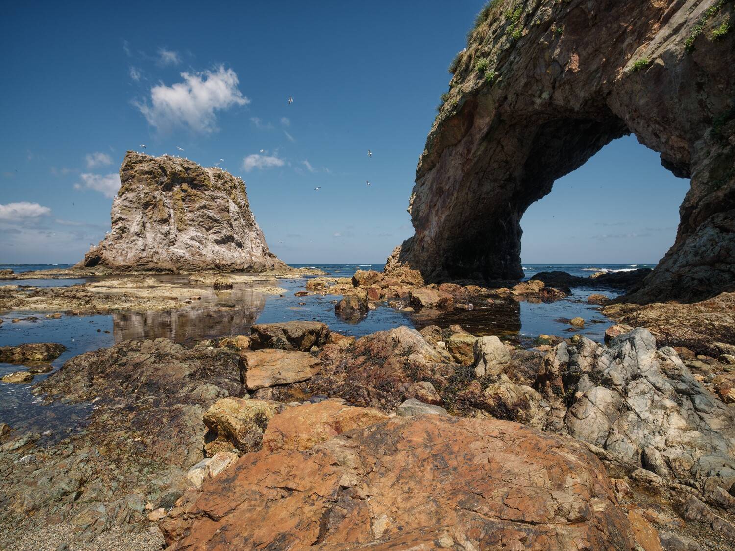 , Роман Чудинович