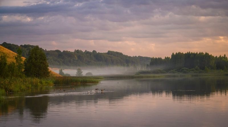псков, пейзаж, Утро на Городищенском озере фото превью