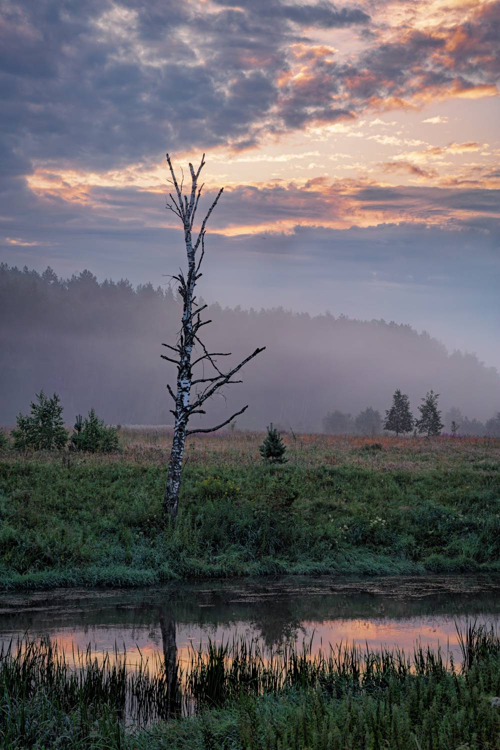 , Евгений Ерохин