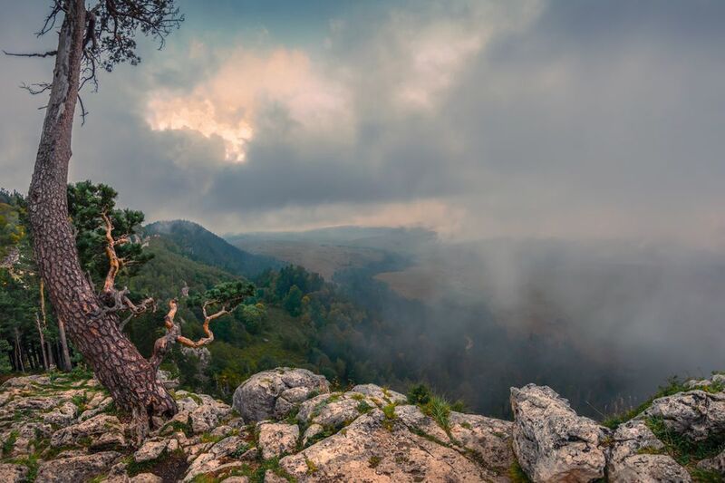 *** фото превью