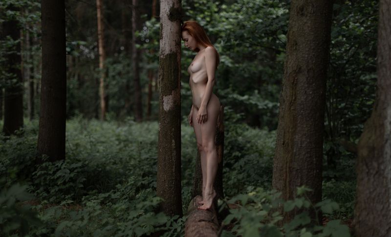 фролов андрей фотограф  фото превью