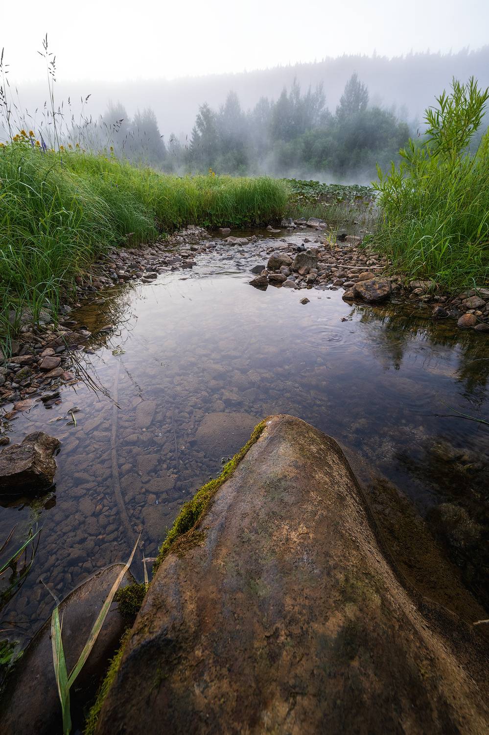 пермский край, пейзаж, рассвет, красота природы, поле, лето, река, природа, дикая природа, койва, лес, усть-койва, Кузнецов Кирилл