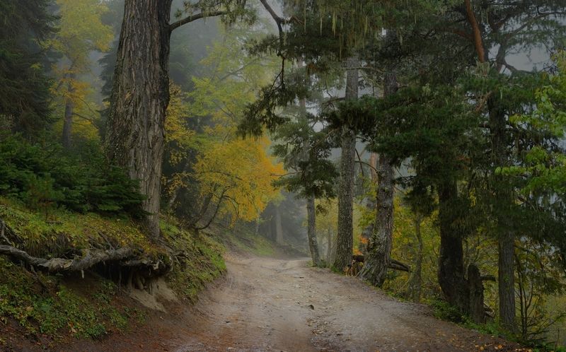 Осенняя дорога в горах фото превью