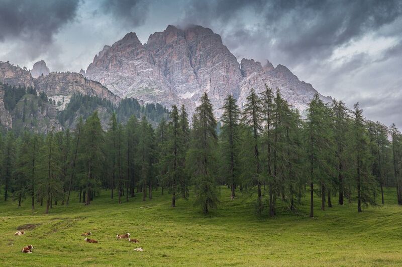Хмурый день в горах фото превью