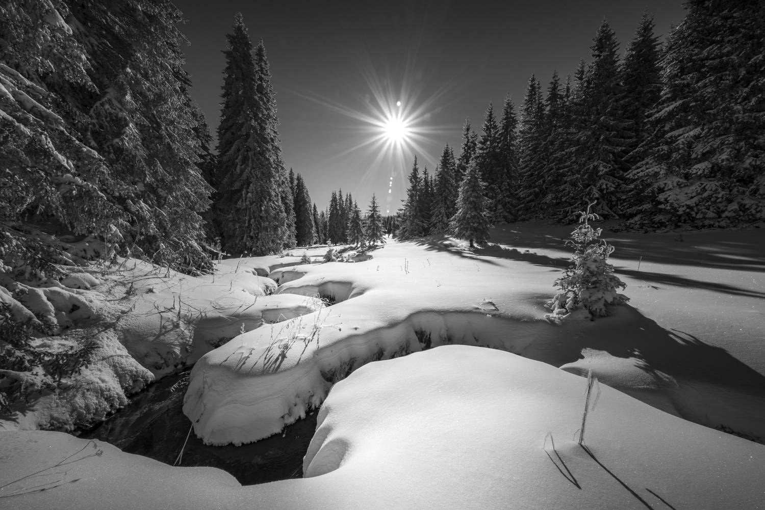 , Mariyana Atanasova - Lucero