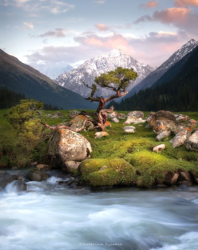 Одиночество фото превью