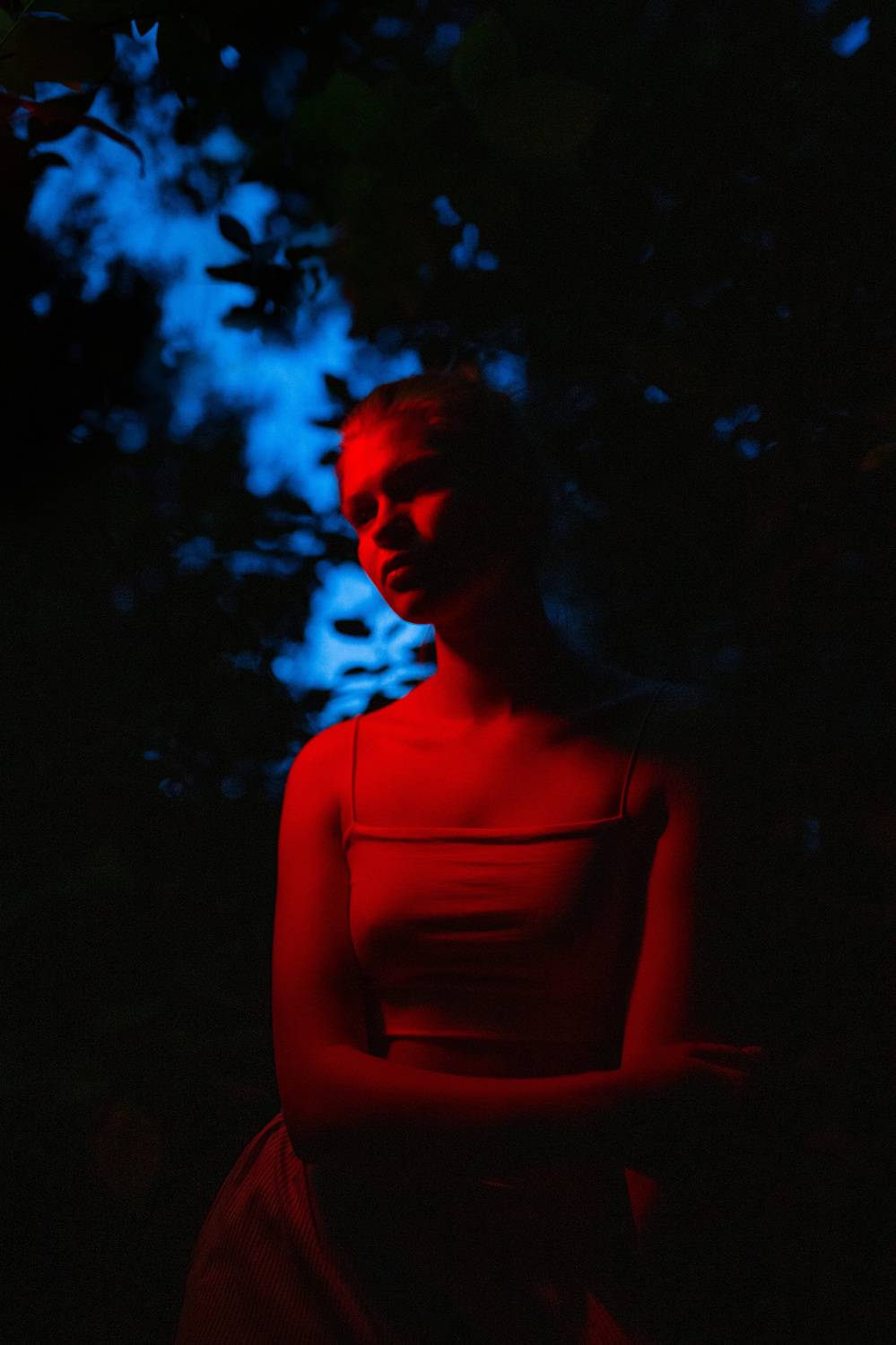 , Плеханов Дмитрий