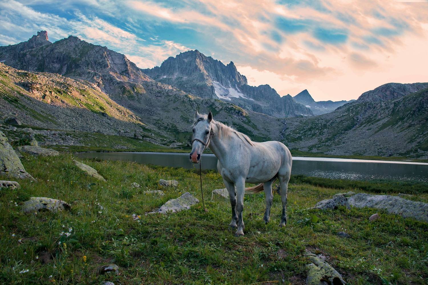алтай горы, Евгений Дроботенко