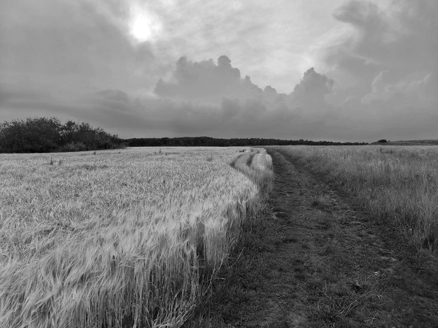 , Кондрашова Светлана