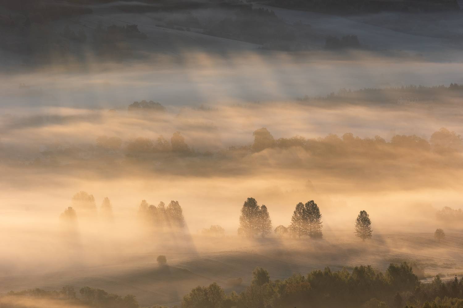 ,  Mirosław Pruchnicki