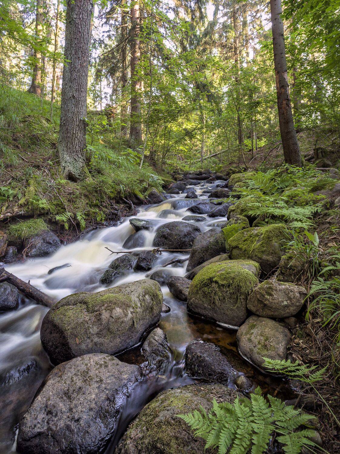 , Пимонов Сергей
