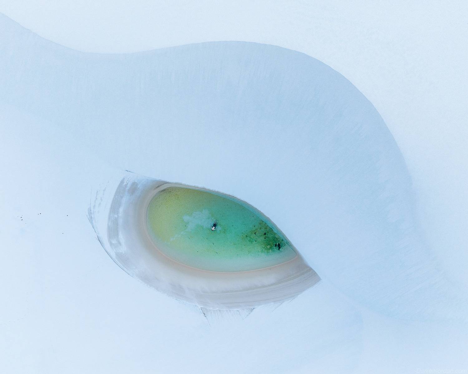 , Даниил Коржонов