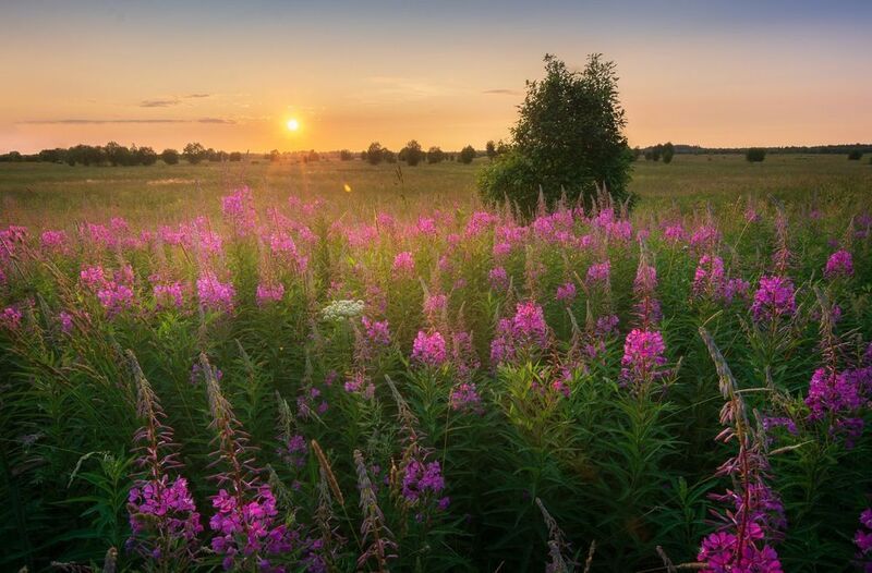 фото превью