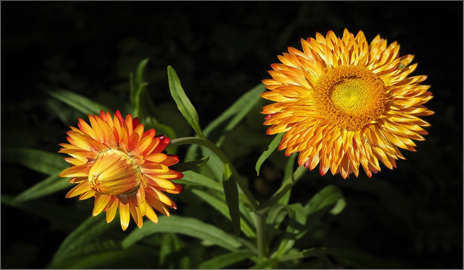 , Ушаков Валерий