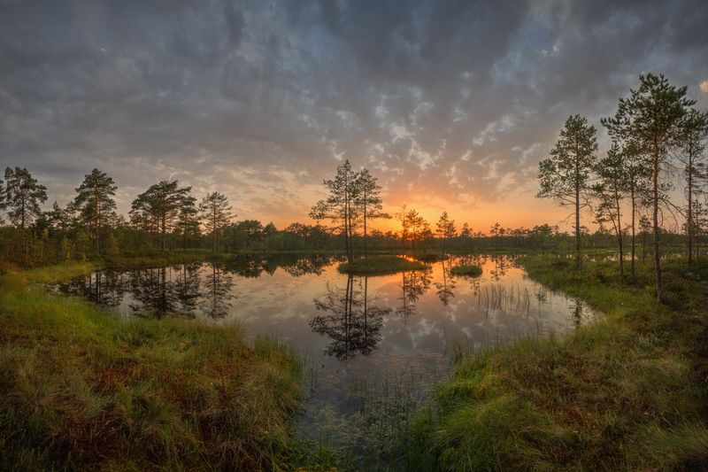 болото, ленинградская область Летний вечер на болотах фото превью