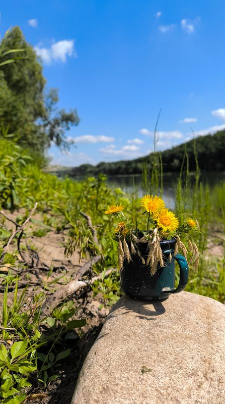 натюрморт Букет полевых цветов. фото превью