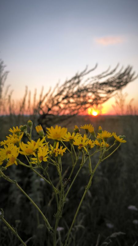 закат пейзаж Закат фото превью