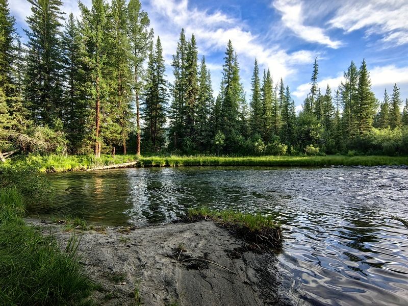 Утро фото превью