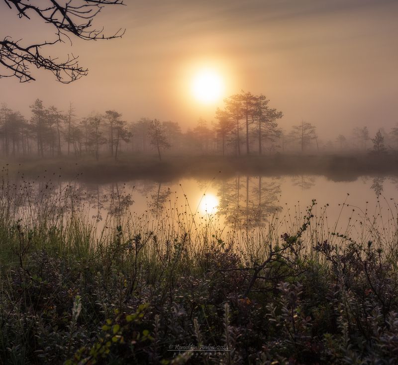 ... на утренней зорьке ... фото превью
