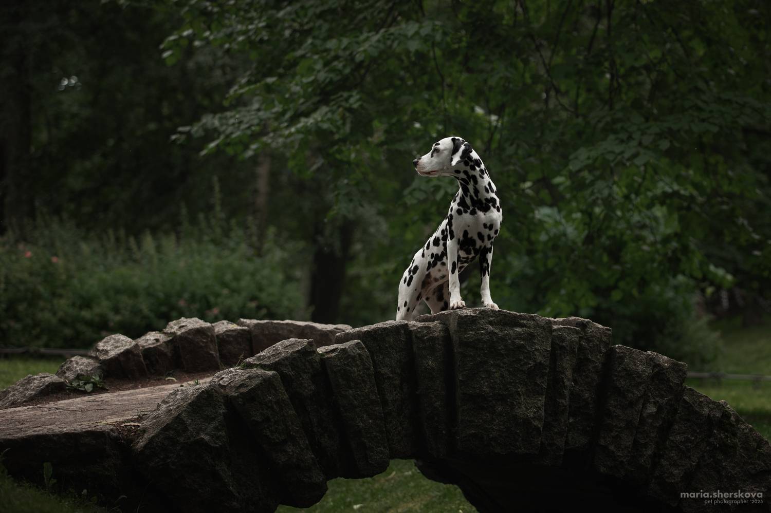 , Мария Шерскова