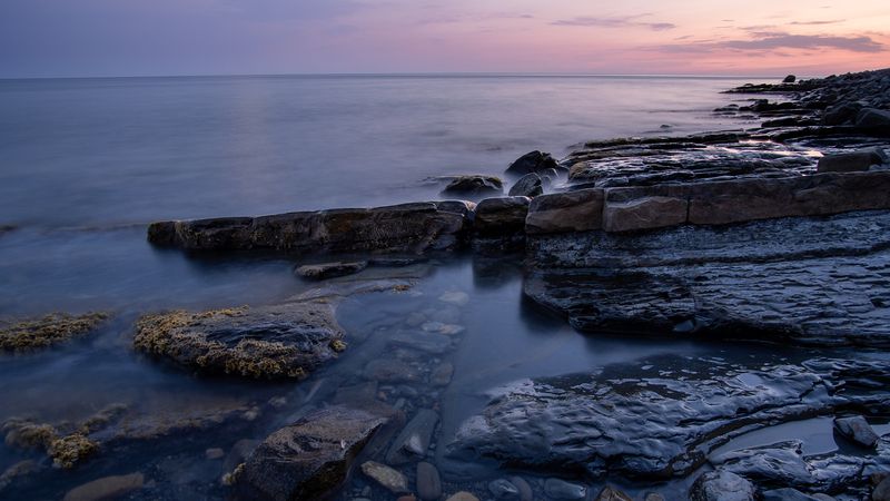 В морском саду фото превью