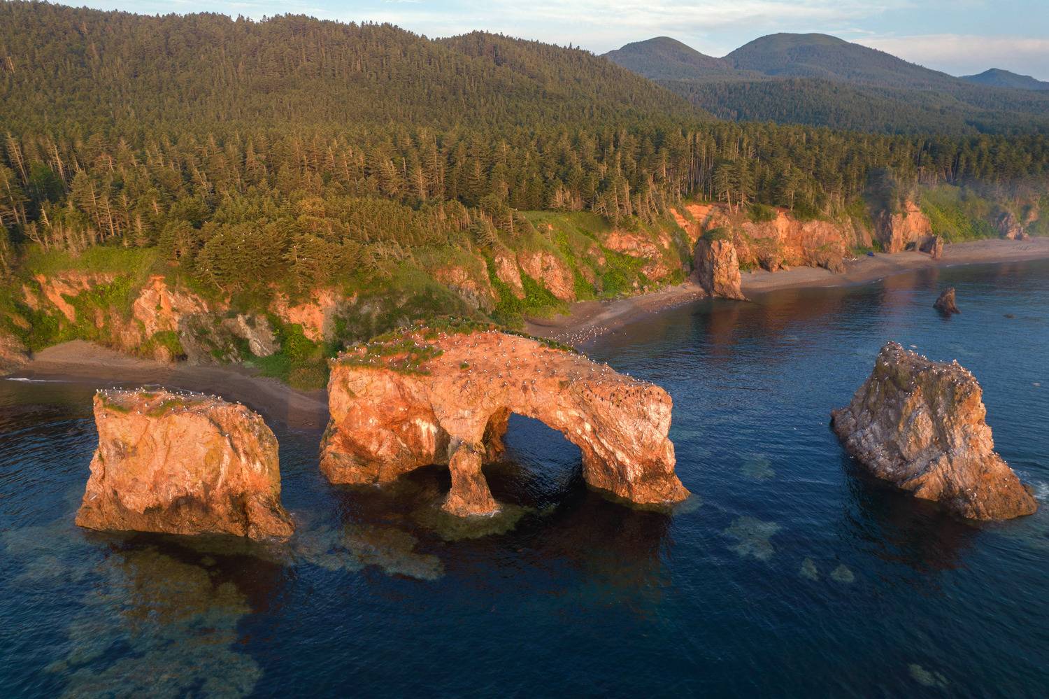 , Артем Удодов