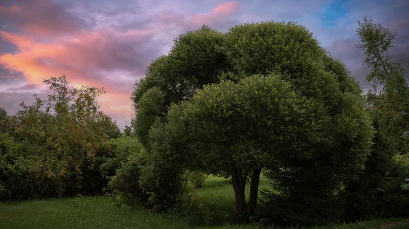 фото превью