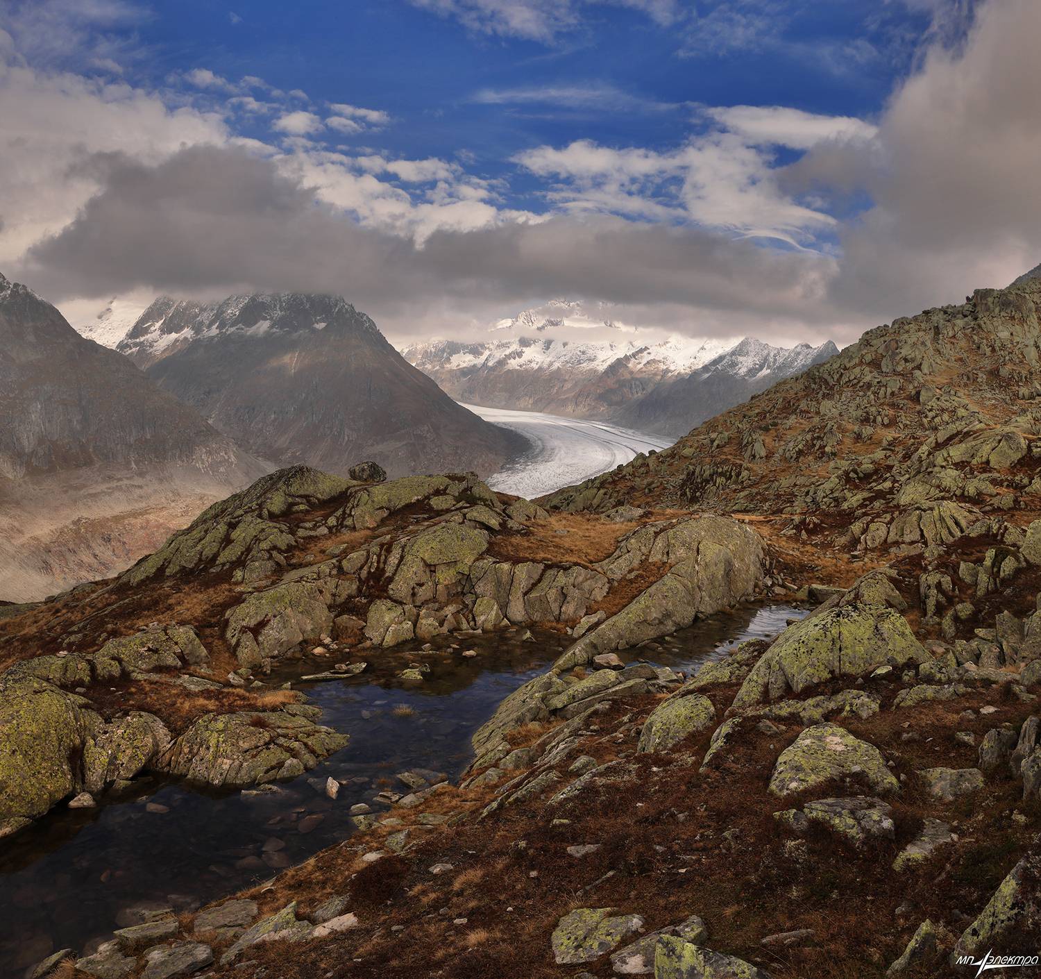 swiss, Матвеев Николай