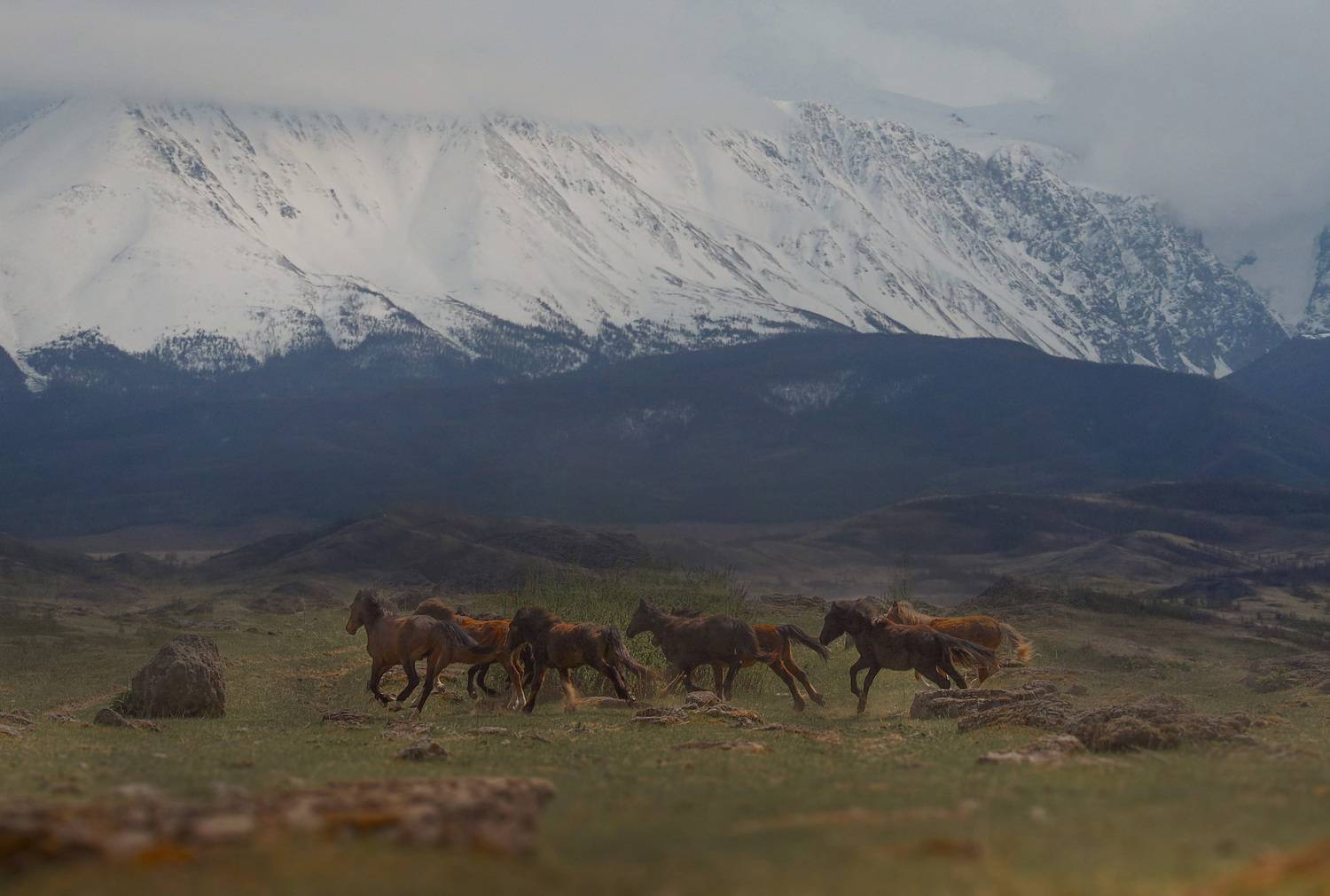 , Константин Буркин