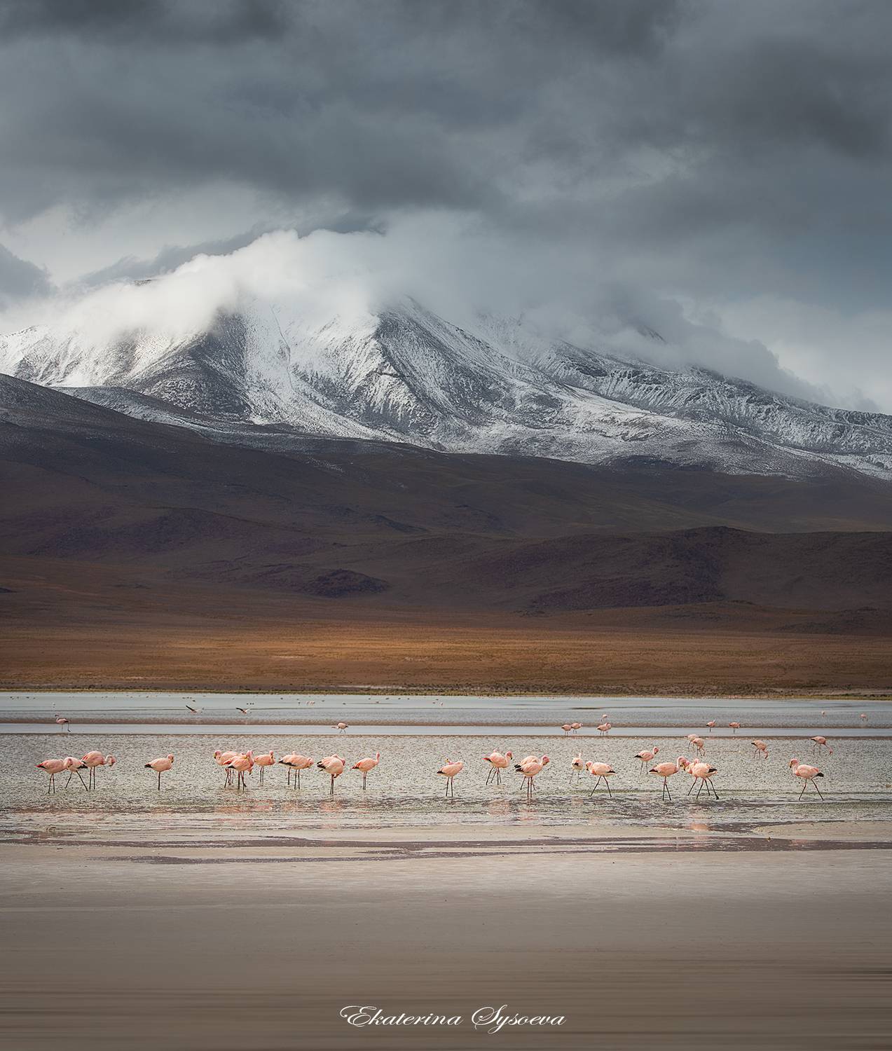 , Екатерина Сысоева