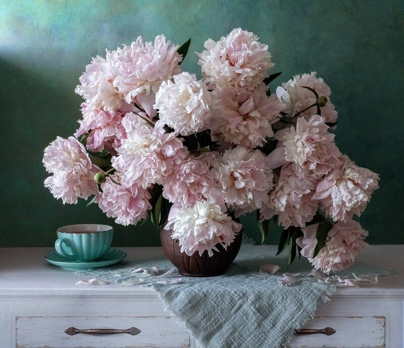 Пионы фото превью