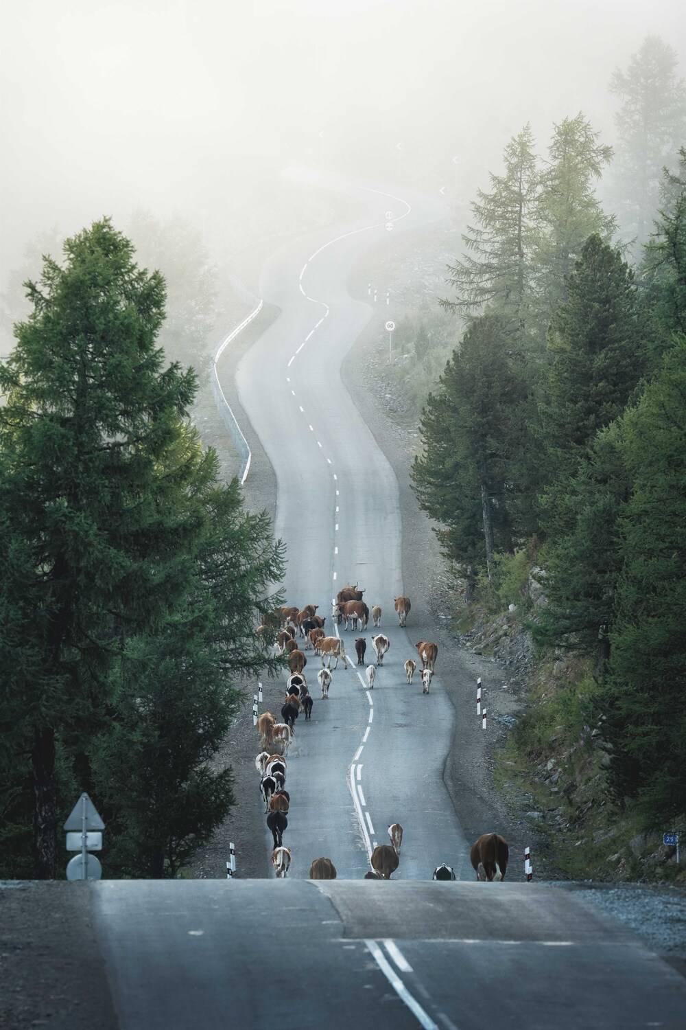 , Евгений Важенин