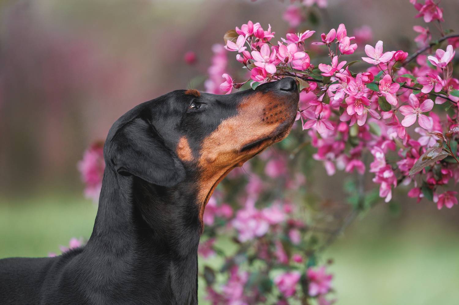 , Яна Нарбутович